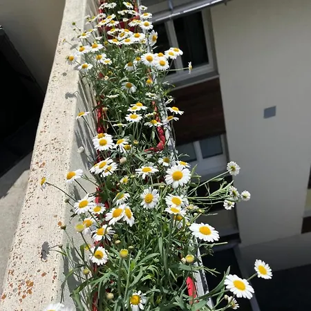 Annelise Appartement Leukerbad