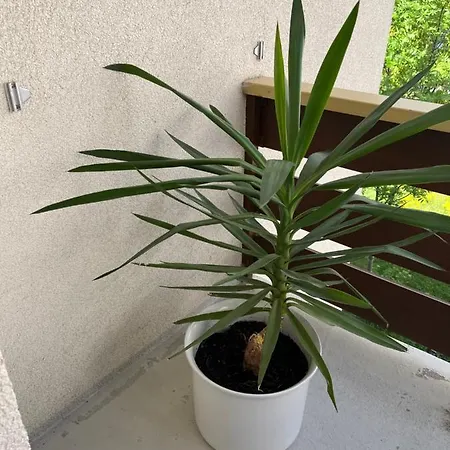 Annelise * Leukerbad