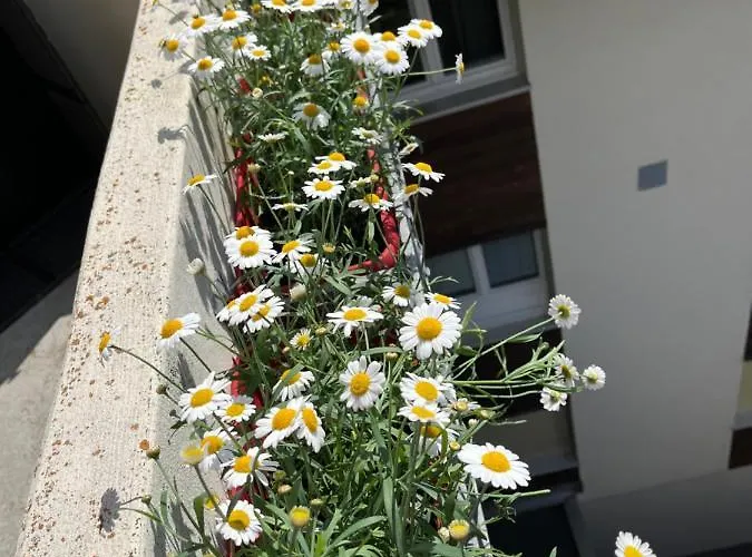 Annelise Daire Leukerbad